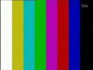 media 78479 thumbnail image
