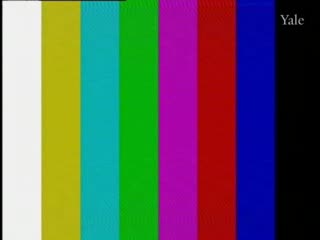 media 78489 thumbnail image
