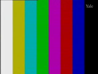 media 78565 thumbnail image