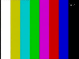 media 78646 thumbnail image