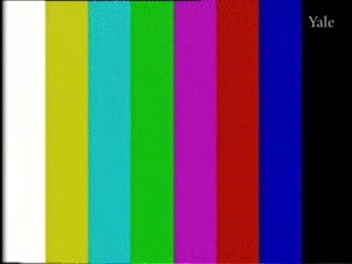 media 78804 thumbnail image