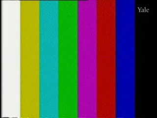 media 78808 thumbnail image