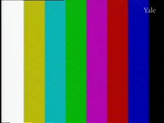 media 78991 thumbnail image