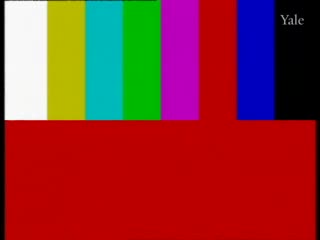 media 78993 thumbnail image