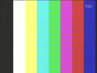 media 79037 thumbnail image
