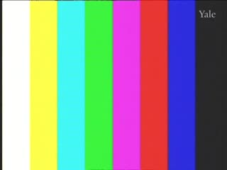 media thumbnail