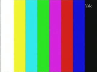 media 79275 thumbnail image