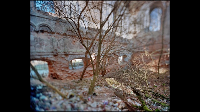 media 79367 thumbnail image