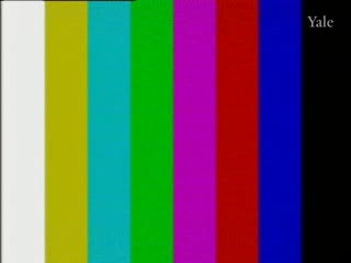 media thumbnail