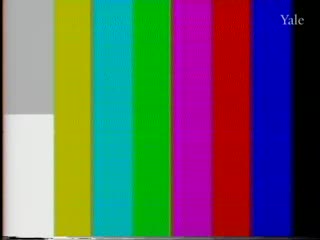 media 80273 thumbnail image