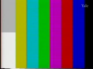 media 80276 thumbnail image