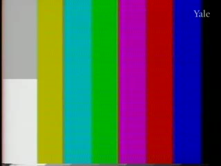 media 80437 thumbnail image