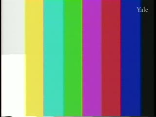 media 80499 thumbnail image