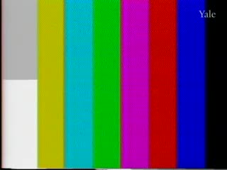 media 80543 thumbnail image