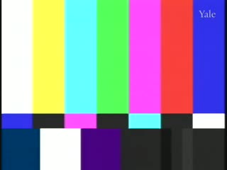 media 80768 thumbnail image
