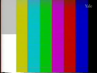 media 80797 thumbnail image