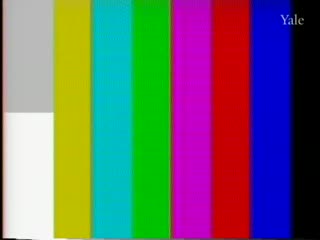 media thumbnail