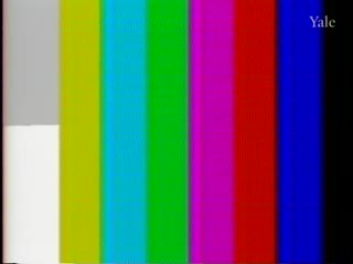 media 80833 thumbnail image