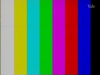 media 80884 thumbnail image