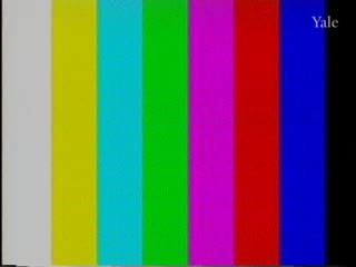 media 80990 thumbnail image