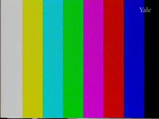 media 80993 thumbnail image