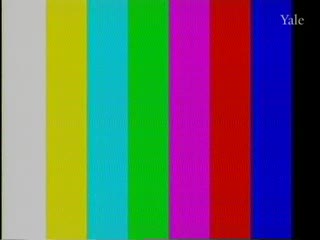 media 81000 thumbnail image