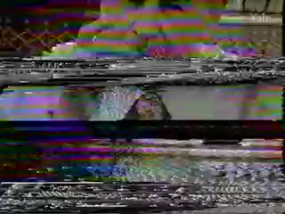 media 81003 thumbnail image