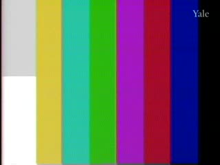 media thumbnail