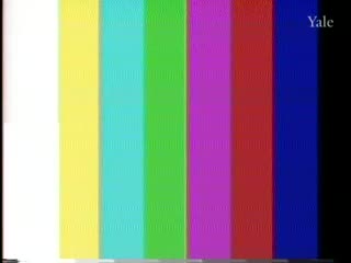 media 81042 thumbnail image
