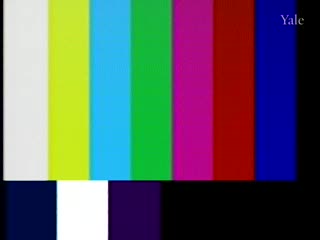 media thumbnail