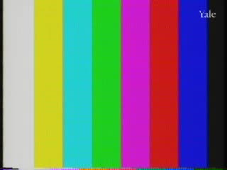 media 81127 thumbnail image