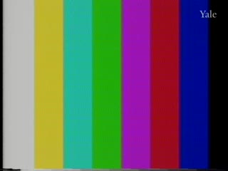 media 81131 thumbnail image