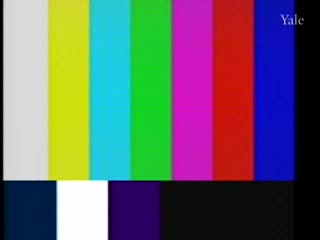 media 81302 thumbnail image