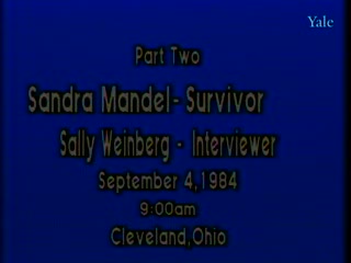 media 81304 thumbnail image
