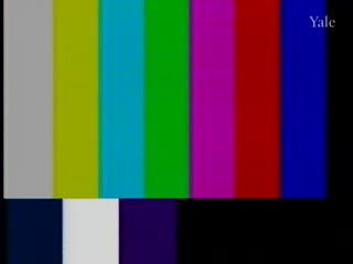 media 81307 thumbnail image