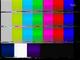 media thumbnail