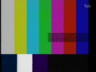 media 81310 thumbnail image