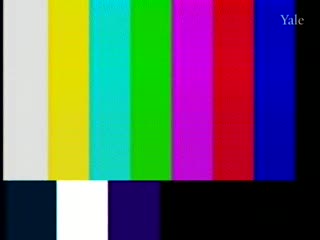 media 81326 thumbnail image
