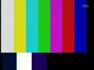 media 81329 thumbnail image