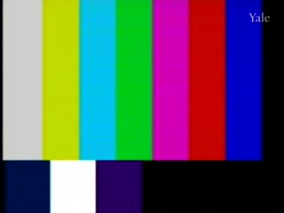 media 81335 thumbnail image