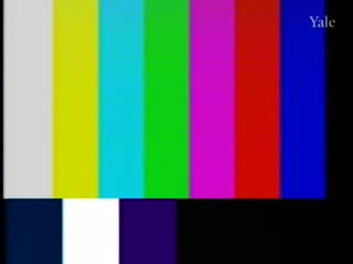 media 81352 thumbnail image
