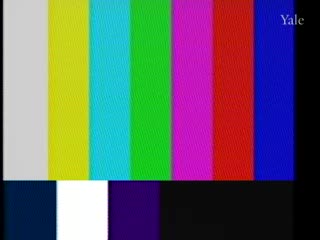 media 81358 thumbnail image