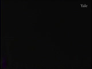 media 81366 thumbnail image