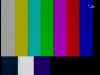 media thumbnail