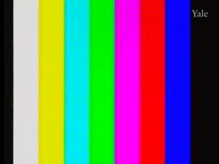 media 81434 thumbnail image