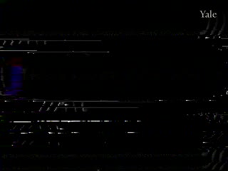 media 81442 thumbnail image
