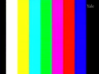 media 81446 thumbnail image