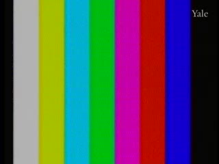 media 81451 thumbnail image