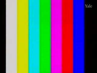 media 81453 thumbnail image