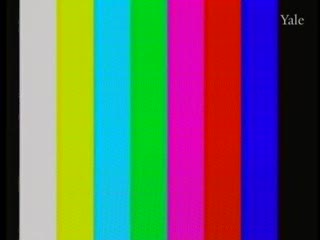 media 81454 thumbnail image